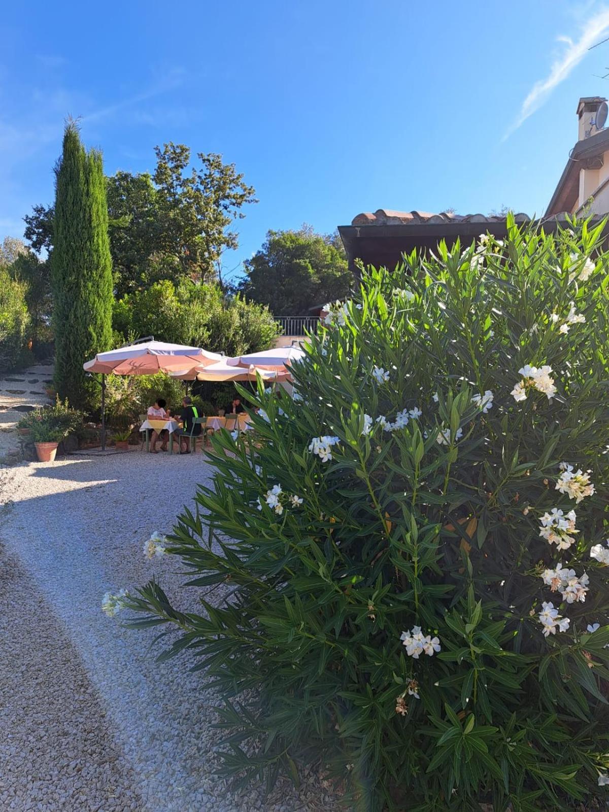 Bed and Breakfast Casale Terre Rosse Saturnia Zewnętrze zdjęcie