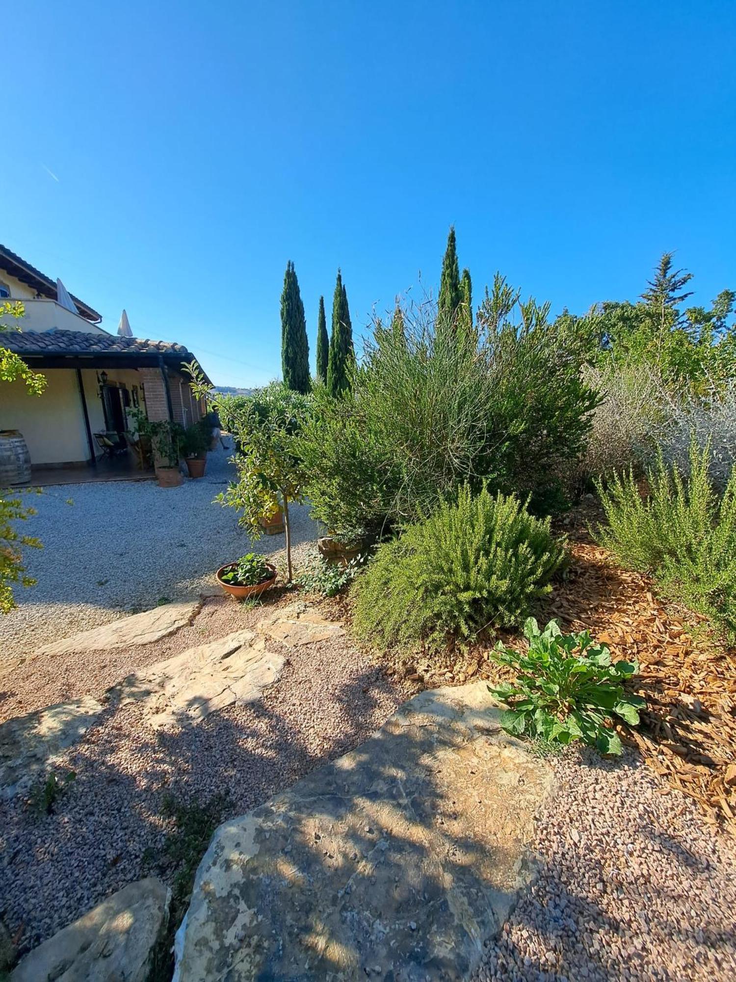 Bed and Breakfast Casale Terre Rosse Saturnia Zewnętrze zdjęcie