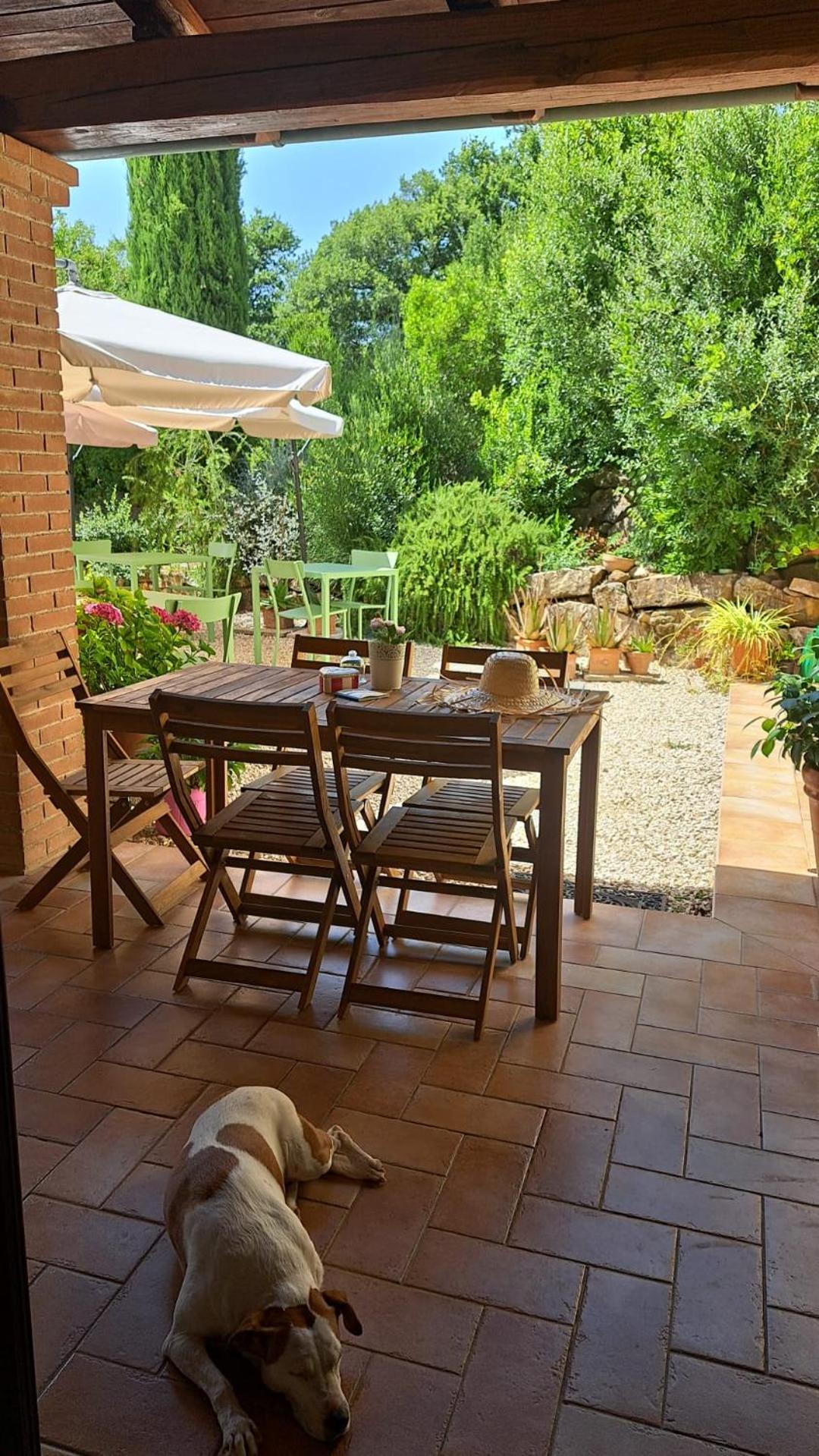 Bed and Breakfast Casale Terre Rosse Saturnia Zewnętrze zdjęcie