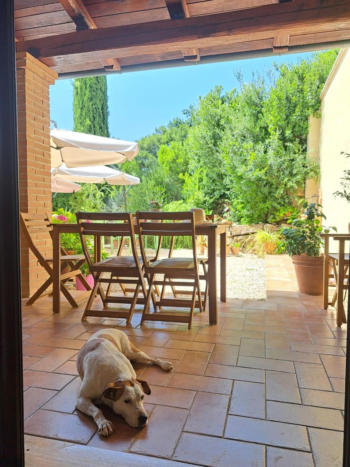 Bed and Breakfast Casale Terre Rosse Saturnia Zewnętrze zdjęcie