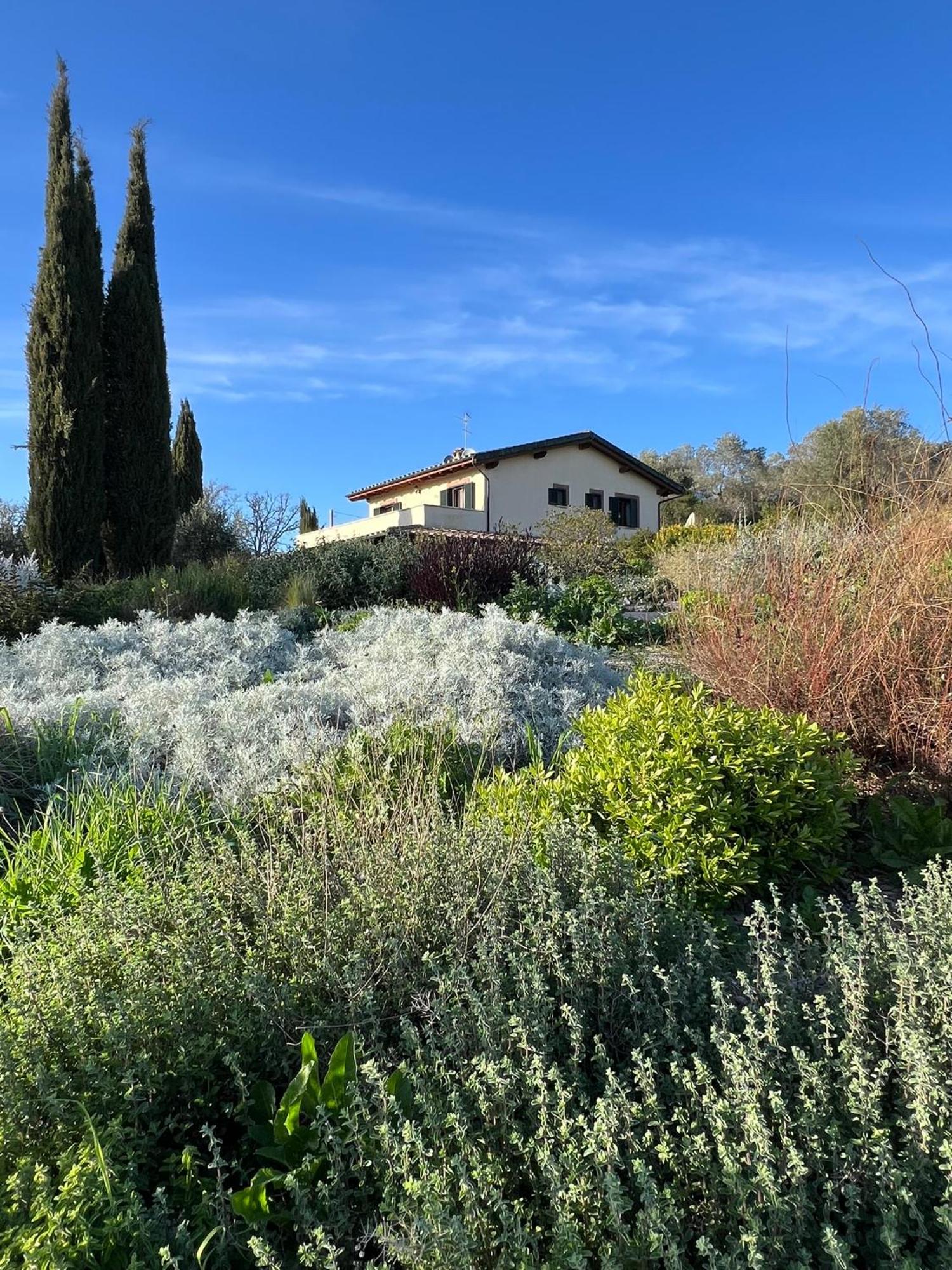 Bed and Breakfast Casale Terre Rosse Saturnia Zewnętrze zdjęcie